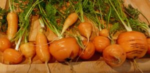 Romeos Ready to Cook