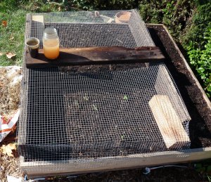 Mesh cover for garden bed