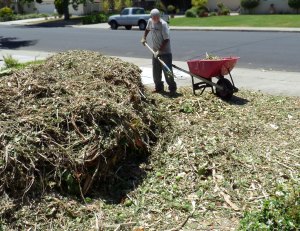 Huge Pile of Chippings